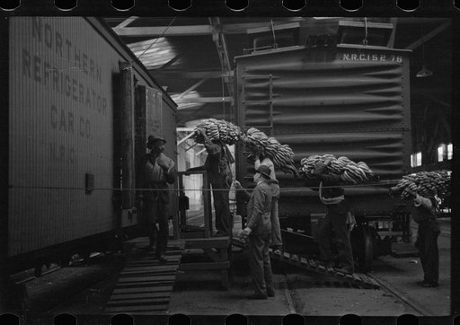 Untitled photo, possibly related to: Loading bananas, Mobile, Alabama