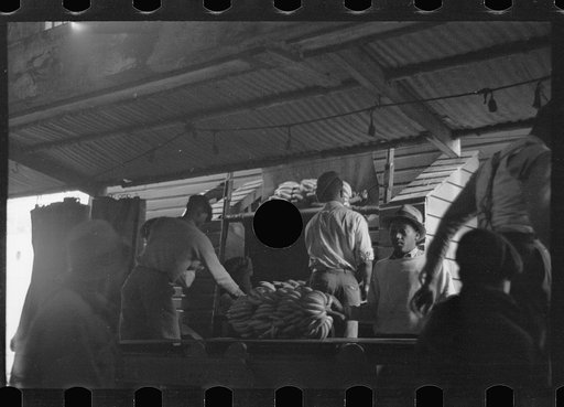 Untitled photo, possibly related to: Unloading bananas on the dock, Mobile, Alabama