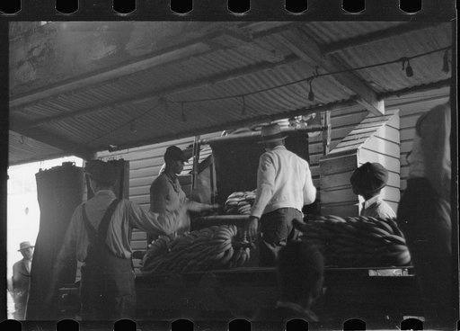 Untitled photo, possibly related to: Unloading bananas on the dock, Mobile, Alabama