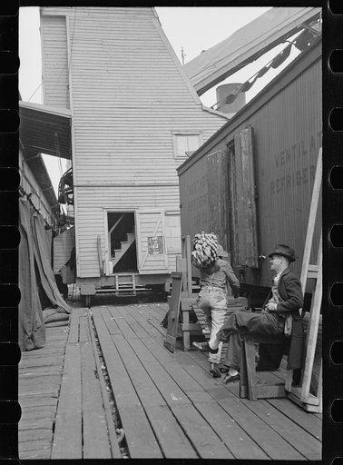 Loading bananas, Mobile, Alabama