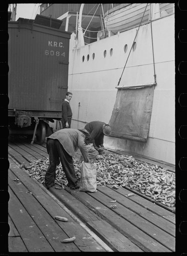 Dock scene, Mobile, Alabama