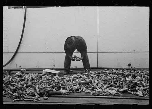 Untitled photo, possibly related to: Dock scene, Mobile, Alabama