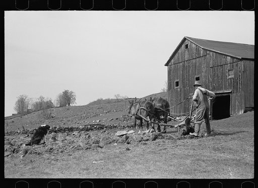 Vermont farmer