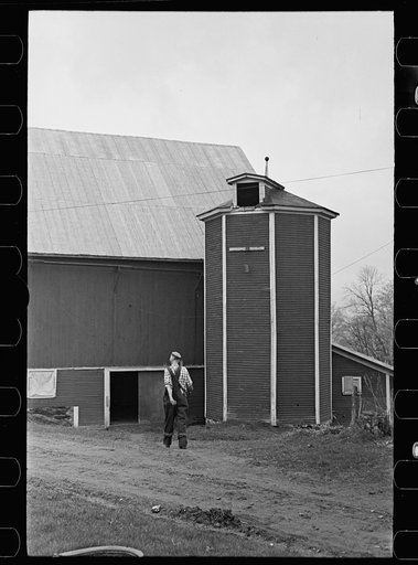 Untitled photo, possibly related to: Farm family, Johnson, Vermont