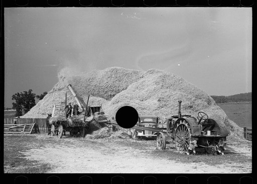Untitled photo, possibly related to: Wheat straw coming out of threshing machine, Frederick, Maryland