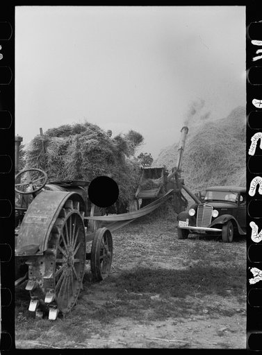 Untitled photo, possibly related to: Wheat straw coming out of threshing machine, Frederick, Maryland