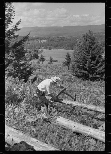 Sawing pulpwood on Kinneys' farm, Eden Mills, Vermont