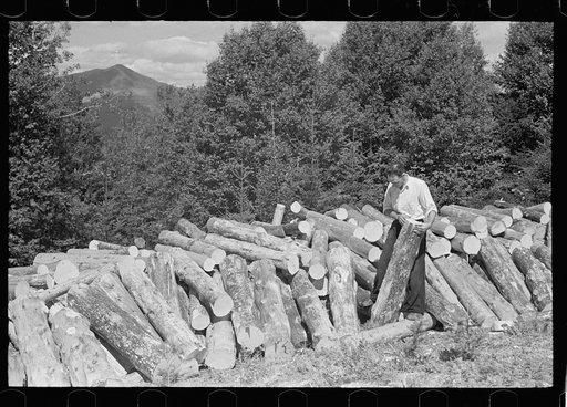 Pulpwood, Eden Mills, Vermont