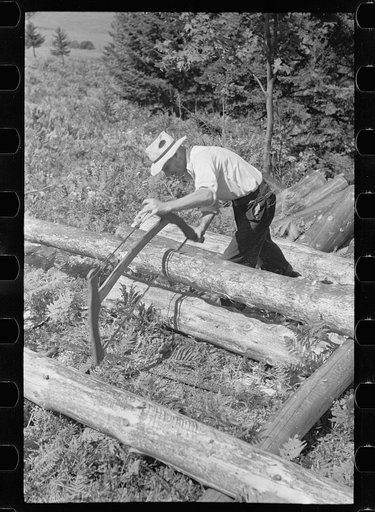 Cutting pulpwood, Eden Mills, Vermont