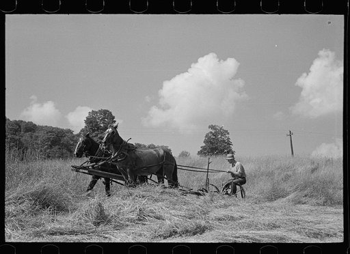 Untitled photo, possibly related to: Cutting hay, Windsor County, Vermont