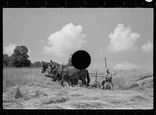Untitled photo, possibly related to: Cutting hay, Windsor County, Vermont
