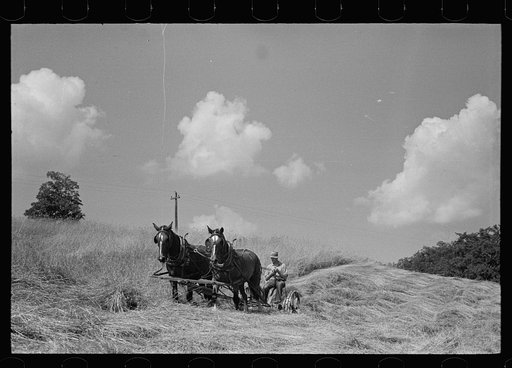 Cutting hay, Windsor County, Vermont