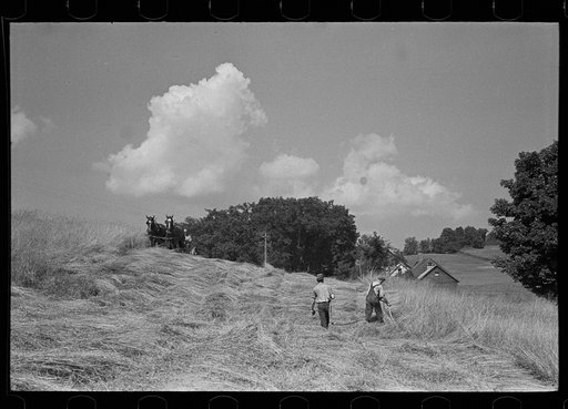 Untitled photo, possibly related to: Cutting hay, Windsor County, Vermont
