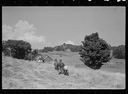 Cutting hay, Windsor County, Vermont