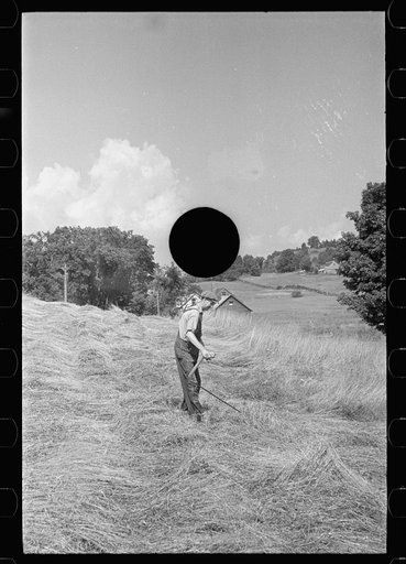 Untitled photo, possibly related to: Cutting hay, Windsor County, Vermont