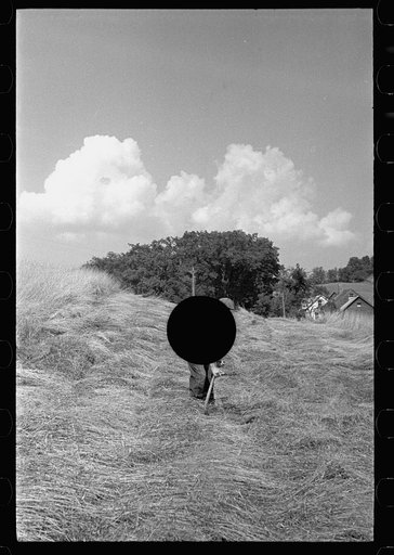 Untitled photo, possibly related to: Cutting hay, Windsor County, Vermont