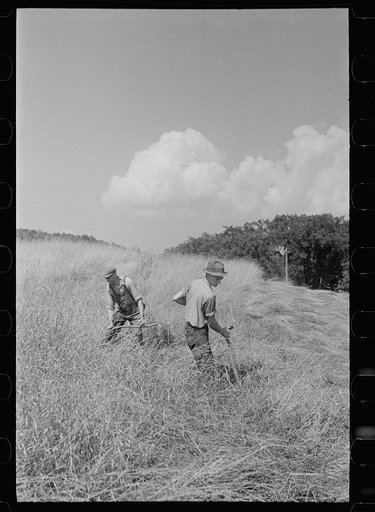 Cutting hay, Windsor County, Vermont