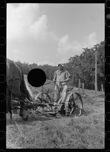 Untitled photo, possibly related to: Cutting hay, Windsor County, Vermont