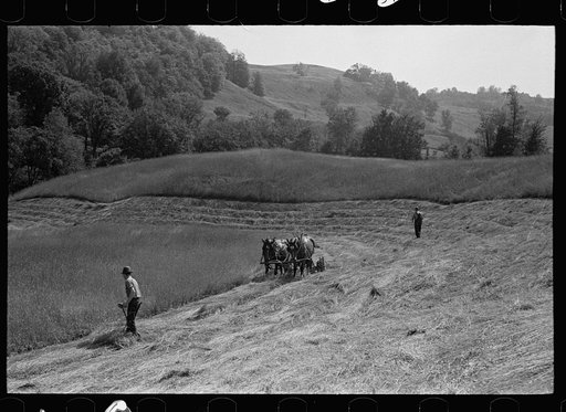 Cutting hay, Windsor County, Vermont