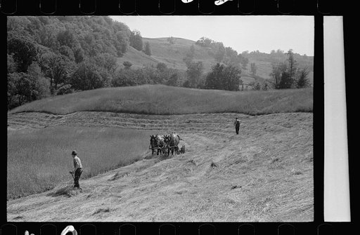 Untitled photo, possibly related to: Cutting hay, Windsor County, Vermont