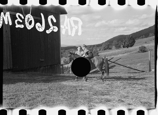Untitled photo, possibly related to: Looking for the mail, McNally farm, Kirby, Vermont