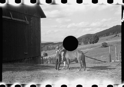 Untitled photo, possibly related to: Looking for the mail, McNally farm, Kirby, Vermont