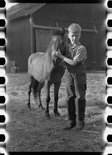 Untitled photo, possibly related to: Looking for the mail, McNally farm, Kirby, Vermont