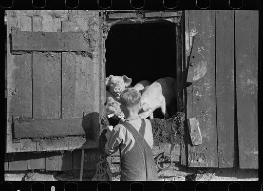 Untitled photo, possibly related to: Looking for the mail, McNally farm, Kirby, Vermont