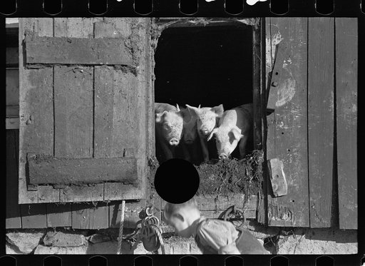 Untitled photo, possibly related to: Looking for the mail, McNally farm, Kirby, Vermont