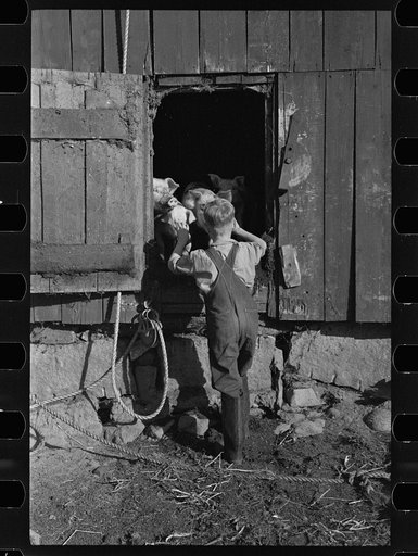Untitled photo, possibly related to: Looking for the mail, McNally farm, Kirby, Vermont