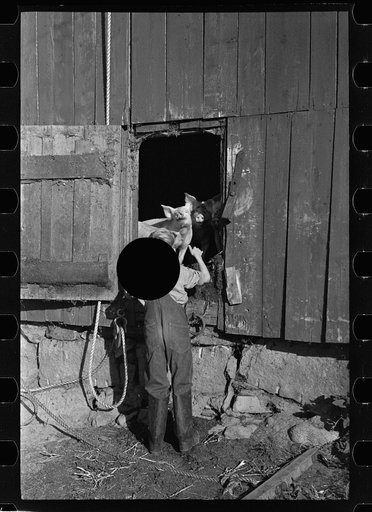 Untitled photo, possibly related to: Looking for the mail, McNally farm, Kirby, Vermont