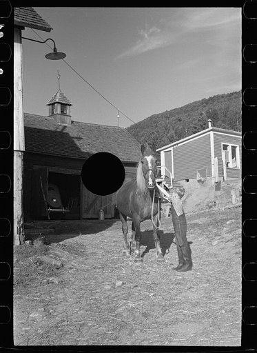 Untitled photo, possibly related to: Bob McNally with one of the horses, Kirby, Vermont