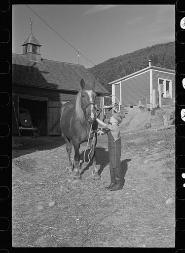 Bob McNally with one of the horses, Kirby, Vermont