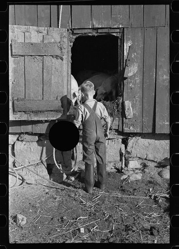 Untitled photo, possibly related to: Bob McNally with one of the horses, Kirby, Vermont