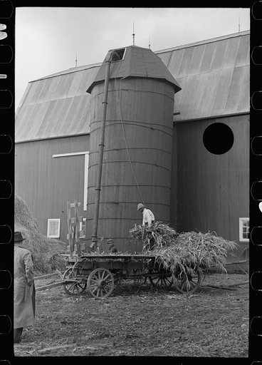 Untitled photo, possibly related to: Barn and silo on Anton Weber's farm, Tompkins County, New York