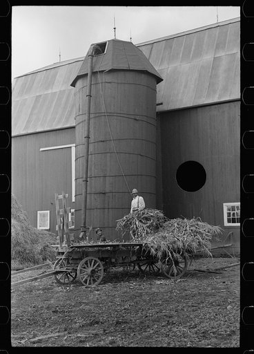 Untitled photo, possibly related to: Barn and silo on Anton Weber's farm, Tompkins County, New York