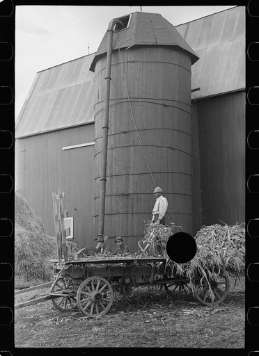 Untitled photo, possibly related to: Barn and silo on Anton Weber's farm, Tompkins County, New York