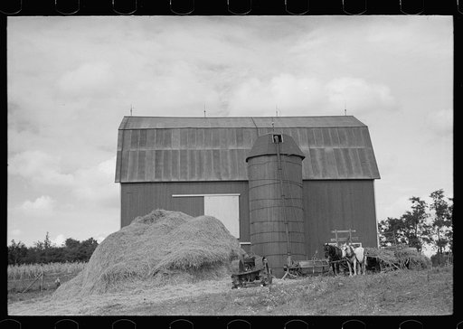 Untitled photo, possibly related to: Barn and silo on Anton Weber's farm, Tompkins County, New York