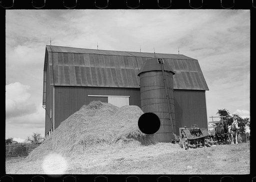 Untitled photo, possibly related to: Barn and silo on Anton Weber's farm, Tompkins County, New York