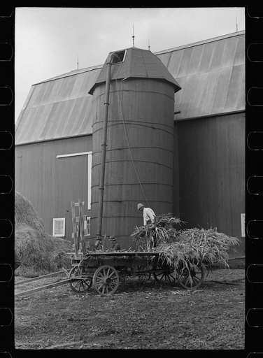 Barn and silo on Anton Weber's farm, Tompkins County, New York
