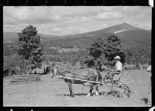 Frank Kinney on a hay rake, Eden Mills, Vermont