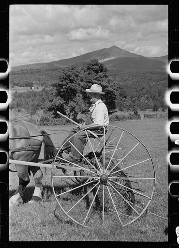 Untitled photo, possibly related to: Frank Kinney on a hay rake, Eden Mills, Vermont
