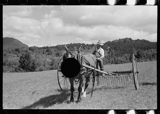 Untitled photo, possibly related to: Frank Kinney on a hay rake, Eden Mills, Vermont