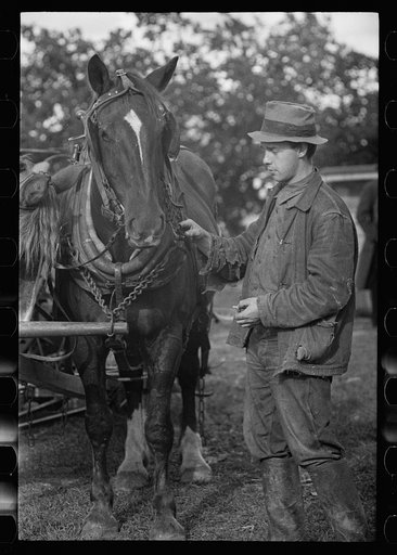 Untitled photo, possibly related to: U.S. Grant Hallett, resettled tenant farmer, Tompkins County, New York