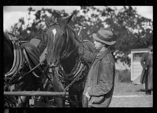 Untitled photo, possibly related to: U.S. Grant Hallett, resettled tenant farmer, Tompkins County, New York