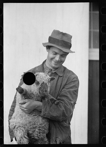Untitled photo, possibly related to: U.S. Grant Hallett, resettled tenant farmer, Tompkins County, New York