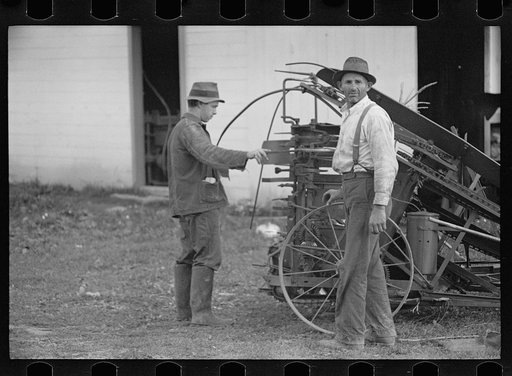 Untitled photo, possibly related to: U.S. Grant Hallett, resettled tenant farmer, Tompkins County, New York