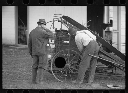 Untitled photo, possibly related to: U.S. Grant Hallett, resettled tenant farmer, Tompkins County, New York