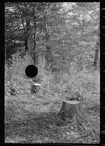 Untitled photo, possibly related to: Cut-over forest land, Otsego County, New York