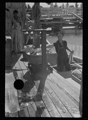Untitled photo, possibly related to: Fishermen, Key West, Florida